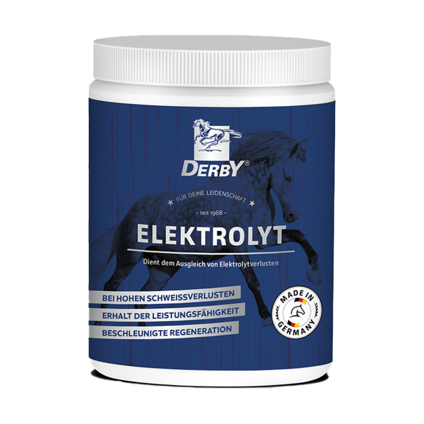 Derby Elektrolyt 1kg